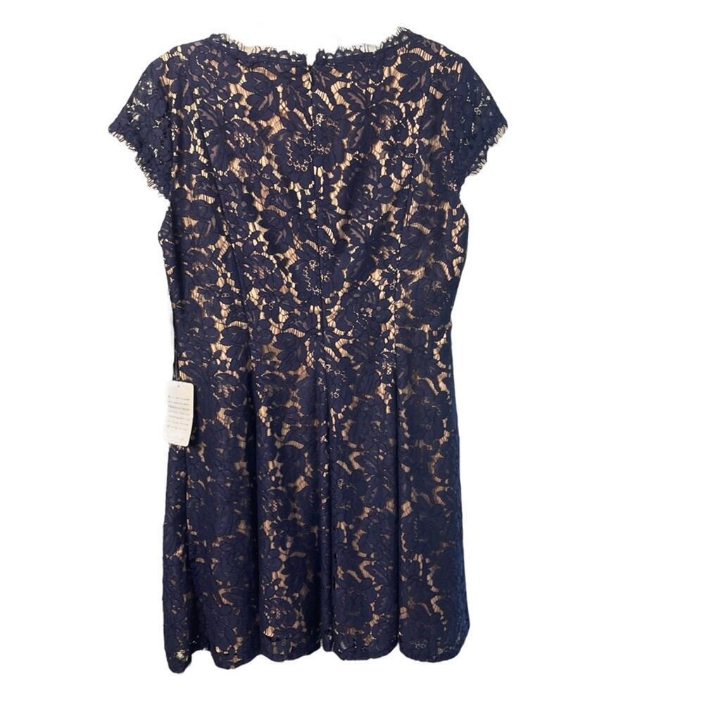 Eliza J. cap Sleeve Fit & Flare Lace Dress, Navy, Parties, Cocktails, Wedding 12 - Picture 6 of 11